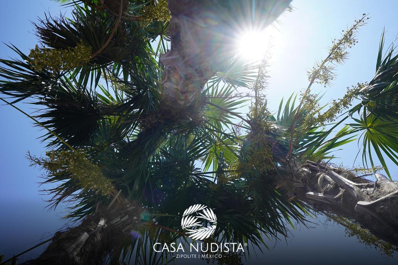 Casa Nudista - Lgbt Zipolite